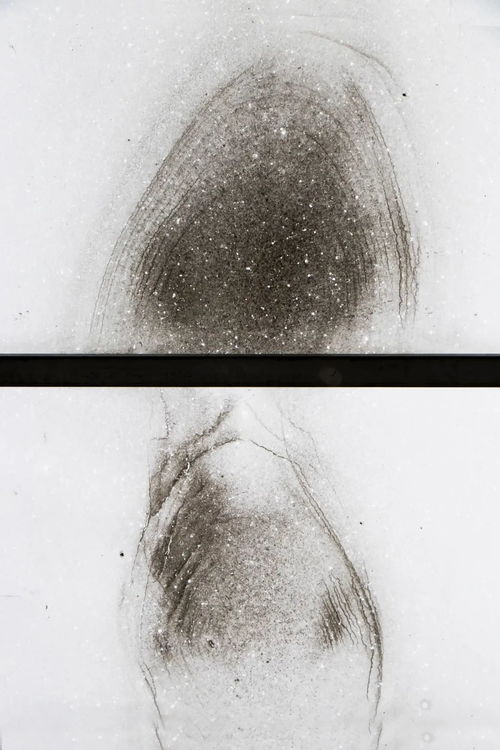 2021攝影畢業季丨趙婷婷 生生