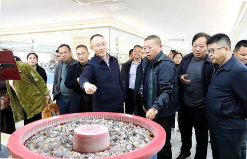 朱法棟調研重點工業項目和企業