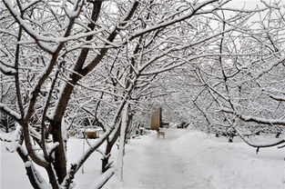 沂源縣人民政府 基層動態 如畫山村雙石屋