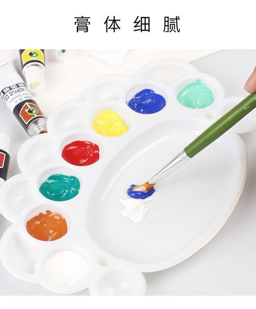 丙烯顏料不掉色白色初學(xué)者顏料畫畫顏料兒童染料美術(shù)用品油畫顏料