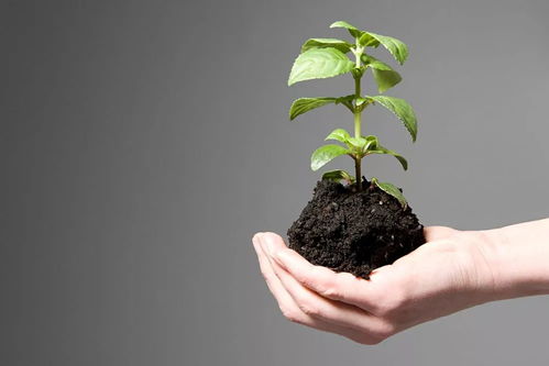 讓 迷途 孩子走進考場 檢察機關為涉罪考生開辟 綠色通道