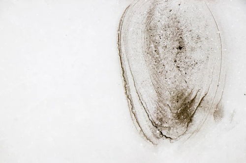 2021攝影畢業季丨趙婷婷 生生