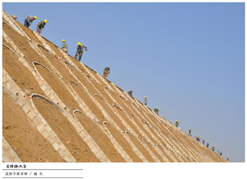 特刊 書畫有骨,光影多彩 獻給2020年不斷奮斗的砂石人