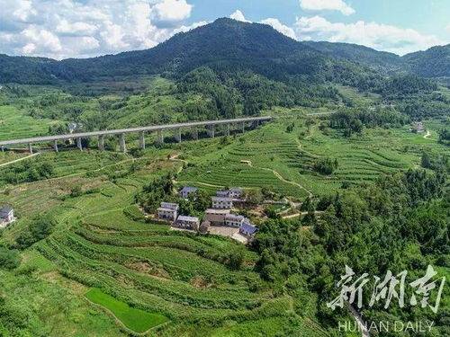 非凡十年看市州 十年,仙境張家界使了哪些招數, 峰 迷全世界