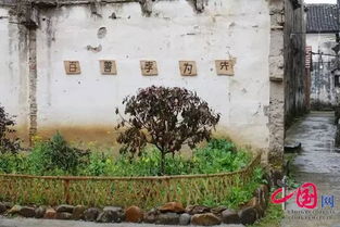 杭州富陽區新桐鄉 群策群力讓鄉村美上加美