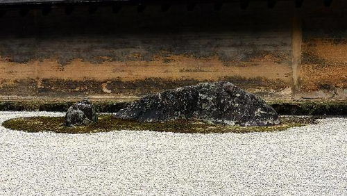 日本寺院 枯山水 體現(xiàn)禪意,原是由我國傳入