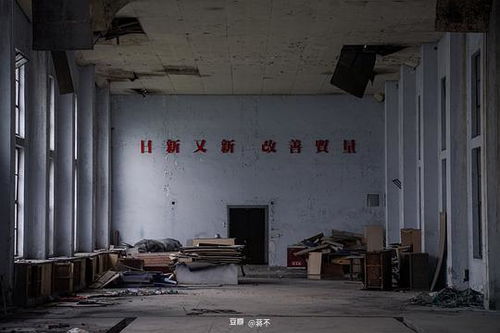 蔣不的相冊 墟墓之間 ──西南