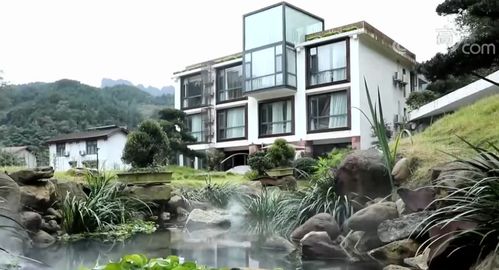 民宿里有了新玩法 湖南張家界 生態游 受追捧