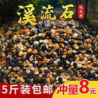 畫法幾何造景裝飾 畫法幾何 南美風枯木造景多少錢